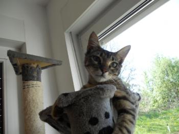 Bild von Noah