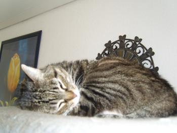 Maripot Bild von Maripot