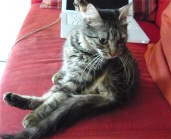 Bild von Tami