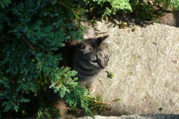 Bild von Tami