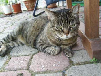 Maripot Bild von Maripot