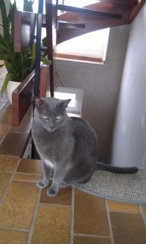 Pam Bild von Pam