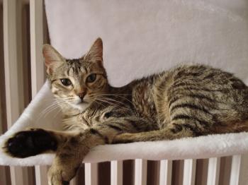 Ines Bild von Ines