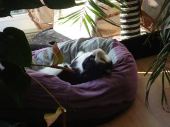 Bild von Takas
