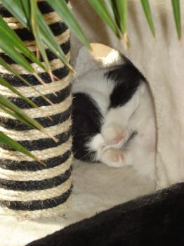 Bild von Takas