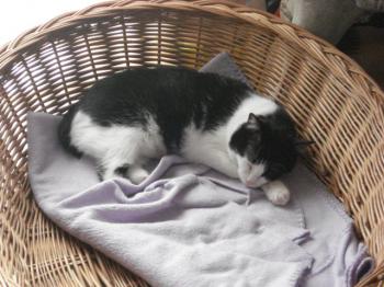 Bild von Takas