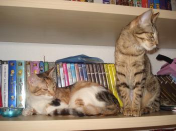 Ines und Titi Bild von Ines
