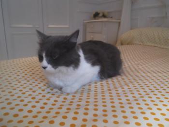 Ohne Namen 5034 Bild von Lilian