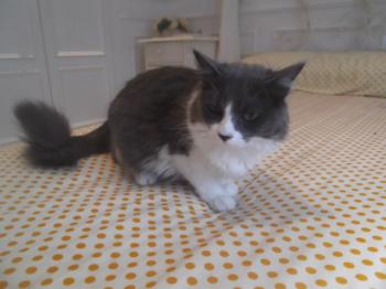 Ohne Namen 5034 Bild von Lilian