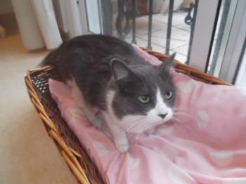 Ohne Namen 5034 Bild von Lilian