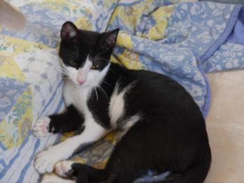 Moritz Bild von Moritz
