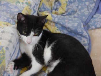 Moritz Bild von Moritz