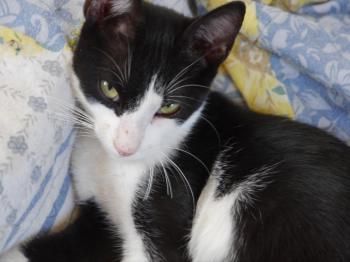 Moritz Bild von Moritz