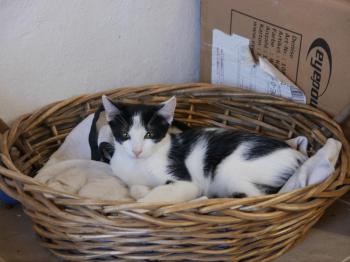 Rocky Bild von Rocky