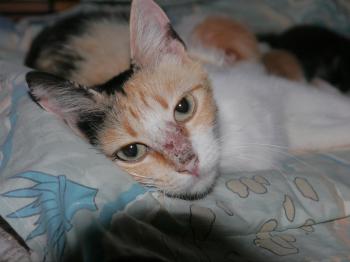 Sundra Bild von Sundra