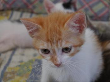 Tristan Bild von Tristan