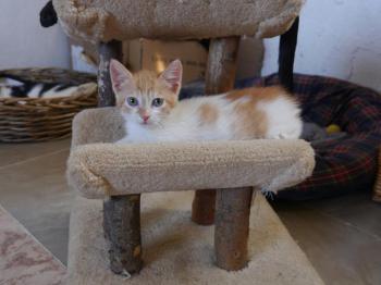 Tristan Bild von Tristan