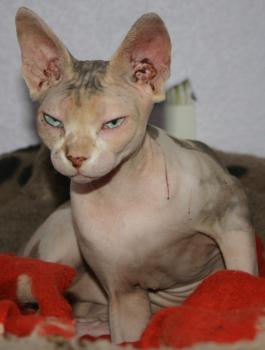 Beyza Bild von Beyza