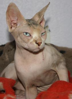 Beyza Bild von Beyza
