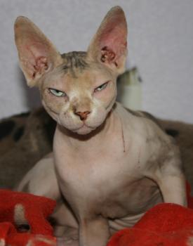 Beyza Bild von Beyza