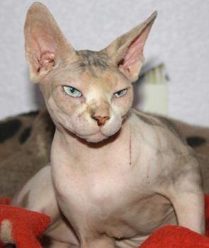 Beyza Bild von Beyza