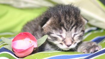 Cindy Bild von Cindy