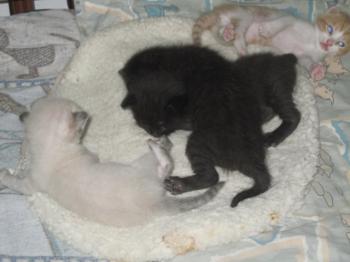 Ohne Namen 5071 Bild von Pancho