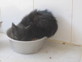 Ohne Namen 5079 Bild von Blacky