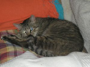 Mari Puri Bild von Mari Puri