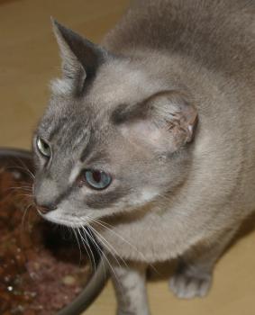 Bild von Happy