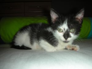 Pantxita Bild von Pantxita