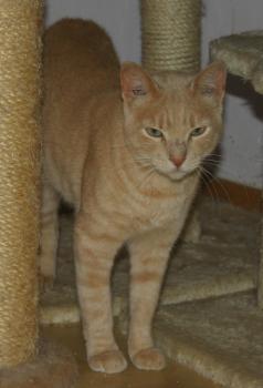Vincent Bild von Vincent