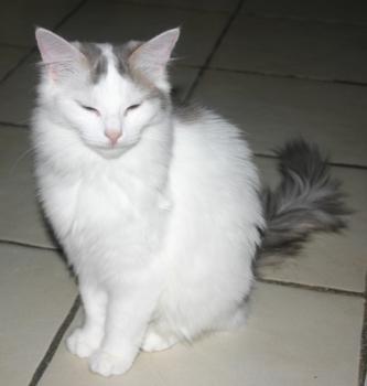 Amilia Bild von Amilia