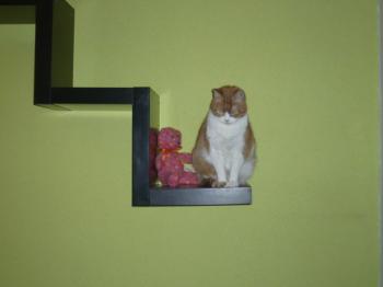 Judith Bild von Judith
