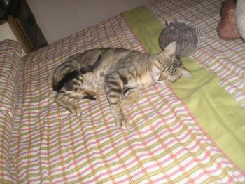 Olivia Bild von Olivia