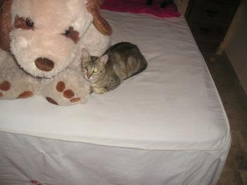 Olivia Bild von Olivia