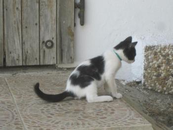 Ezequiel Bild von Ezequiel