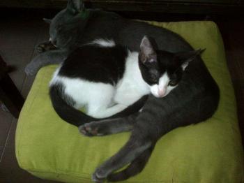 Moritz Bild von Moritz
