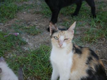 Sundra Bild von Sundra