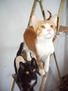 Manchitas Bild von Manchitas