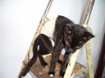 Manchitas Bild von Manchitas