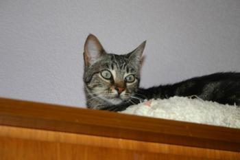 Lulu Bild von Lulu