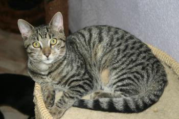 Lutzie Bild von Lutzie