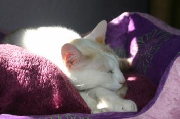 Chiqui Bild von Chiqui