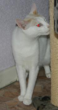 Chiqui Bild von Chiqui