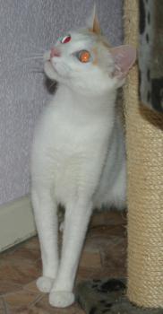 Chiqui Bild von Chiqui