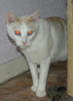 Chiqui Bild von Chiqui