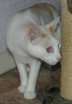 Chiqui Bild von Chiqui