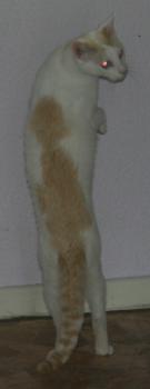 Chiqui Bild von Chiqui