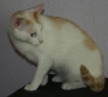 Chiqui Bild von Chiqui